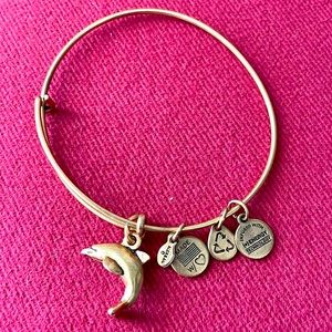 Alex and Ani dolphin bracelet